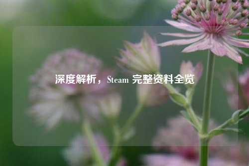 深度解析,Steam 完整资料全览