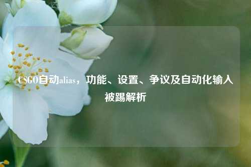 CSGO自动alias,功能、设置、争议及自动化输入被踢解析