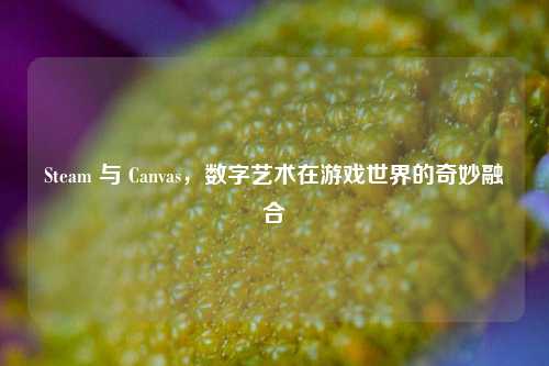 Steam 与 Canvas,数字艺术在游戏世界的奇妙融合