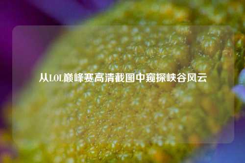 从LOL巅峰赛高清截图中窥探峡谷风云
