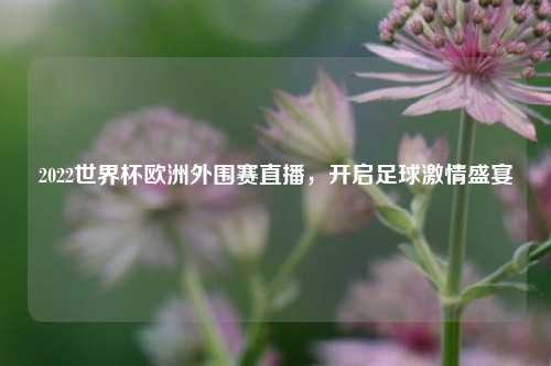 2022世界杯欧洲外围赛直播,开启足球激情盛宴