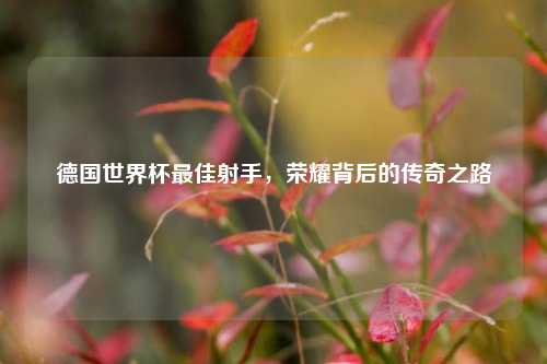 德国世界杯最佳射手,荣耀背后的传奇之路