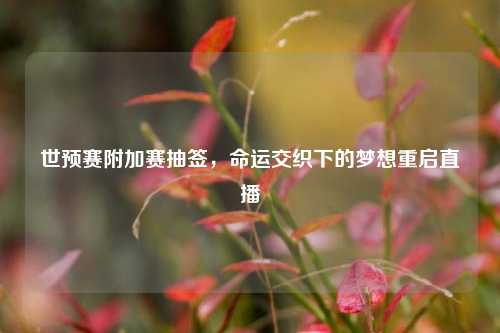 世预赛附加赛抽签,命运交织下的梦想重启直播