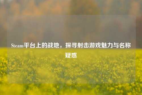 Steam平台上的战地,探寻射击游戏魅力与名称疑惑
