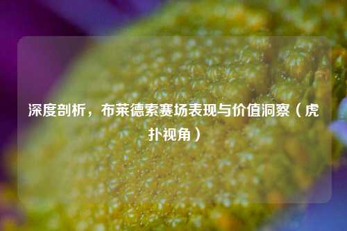 深度剖析,布莱德索赛场表现与价值洞察(虎扑视角)