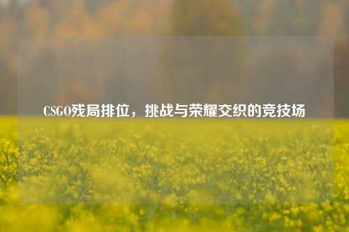 CSGO残局排位,挑战与荣耀交织的竞技场