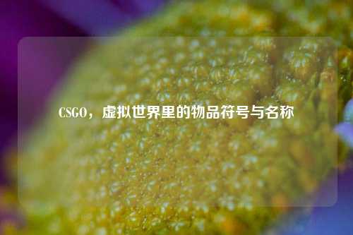 CSGO,虚拟世界里的物品符号与名称