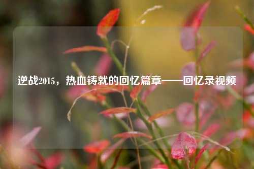 逆战2015,热血铸就的回忆篇章——回忆录视频