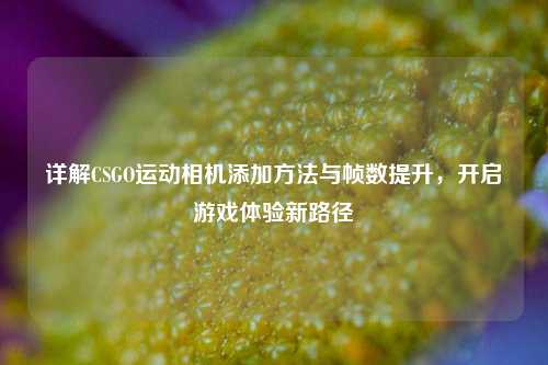 详解CSGO运动相机添加方法与帧数提升,开启游戏体验新路径