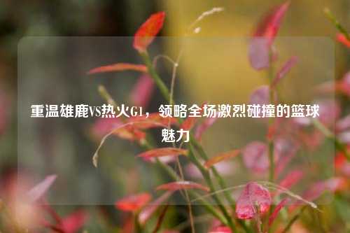 重温雄鹿VS热火G1,领略全场激烈碰撞的篮球魅力