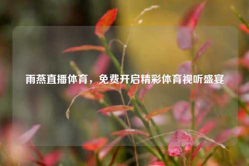 雨燕直播体育,免费开启精彩体育视听盛宴