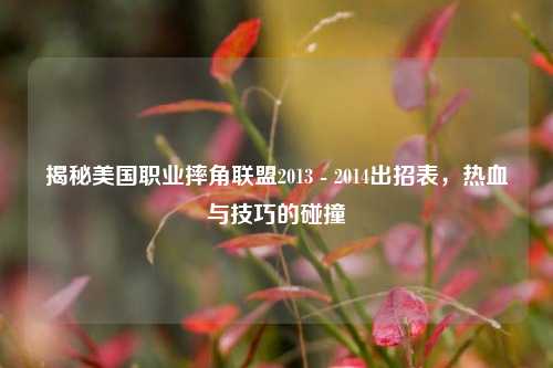 揭秘美国职业摔角联盟2013 - 2014出招表，热血与技巧的碰撞