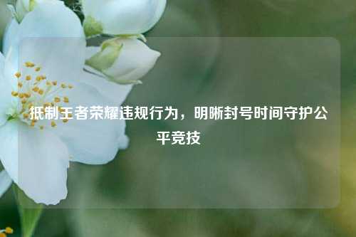 抵制王者荣耀违规行为,明晰封号时间守护公平竞技