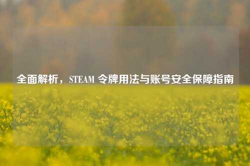 全面解析，STEAM 令牌用法与账号安全保障指南