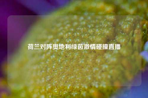 荷兰对阵奥地利绿茵激情碰撞直播