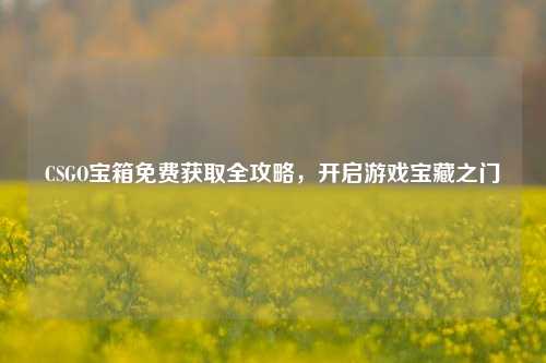CSGO宝箱免费获取全攻略,开启游戏宝藏之门