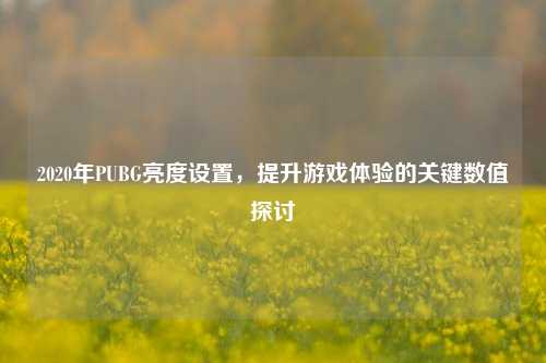 2020年PUBG亮度设置,提升游戏体验的关键数值探讨