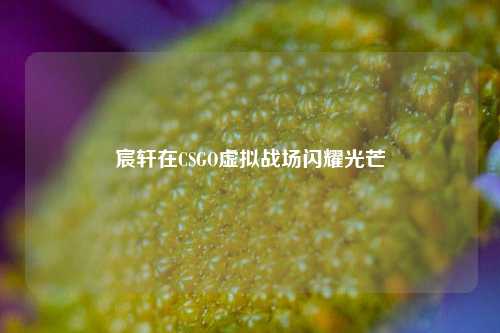 宸轩在CSGO虚拟战场闪耀光芒