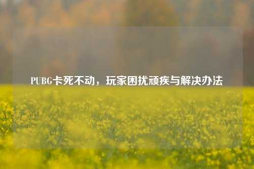 PUBG卡死不动，玩家困扰顽疾与解决办法