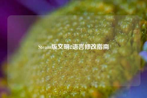 Steam版文明2语言修改指南