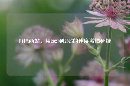 F1巴西站,从2021到2025的速度激情延续
