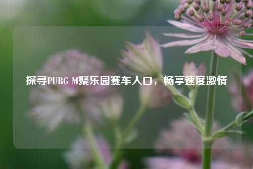 探寻PUBG M聚乐园赛车入口,畅享速度激情