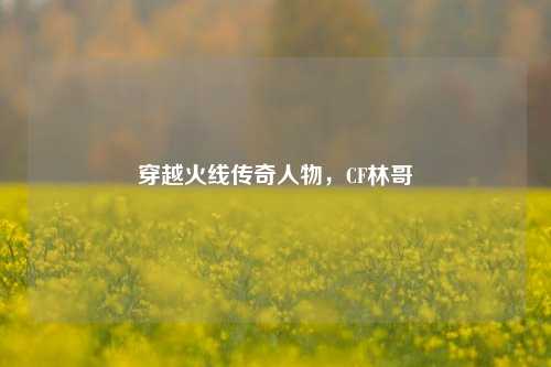 穿越火线传奇人物,CF林哥