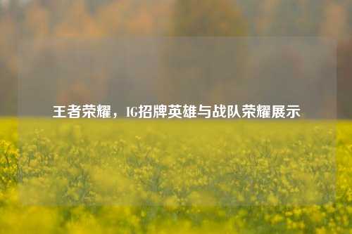 王者荣耀，IG招牌英雄与战队荣耀展示