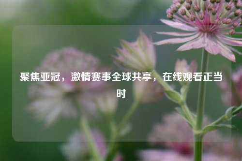 聚焦亚冠，激情赛事全球共享，在线观看正当时