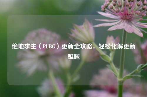 绝地求生(PUBG)更新全攻略,轻松化解更新难题