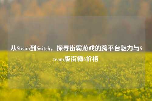 从Steam到Switch,探寻街霸游戏的跨平台魅力与Steam版街霸6价格