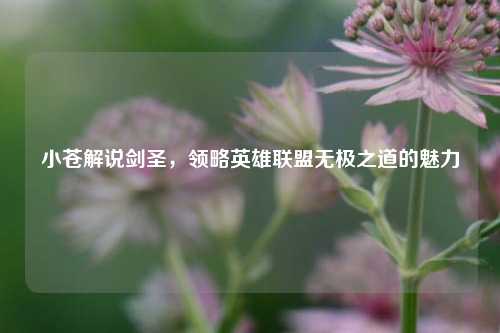 小苍解说剑圣，领略英雄联盟无极之道的魅力