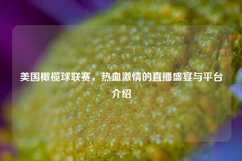 美国橄榄球联赛,热血激情的直播盛宴与平台介绍