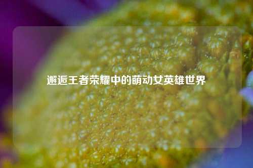 邂逅王者荣耀中的萌动女英雄世界