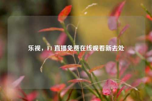 乐视,F1 直播免费在线观看新去处