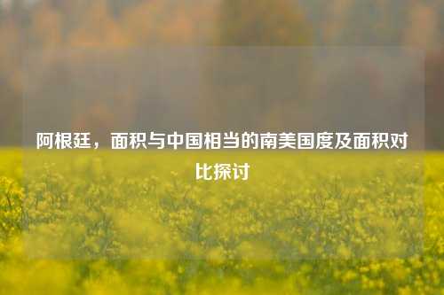 阿根廷,面积与中国相当的南美国度及面积对比探讨