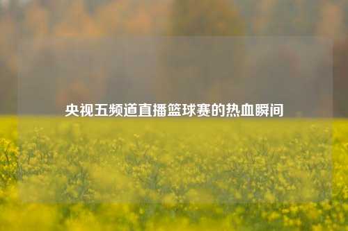 央视五频道直播篮球赛的热血瞬间