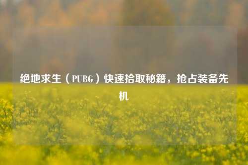 绝地求生(PUBG)快速拾取秘籍,抢占装备先机