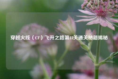 穿越火线（CF）飞升之路第13关通关秘籍揭秘