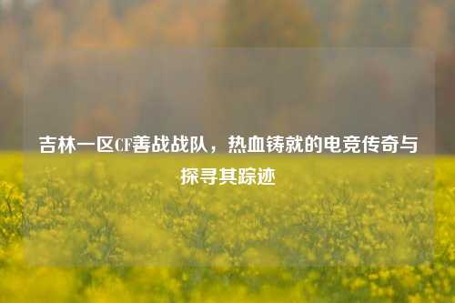 吉林一区CF善战战队，热血铸就的电竞传奇与探寻其踪迹