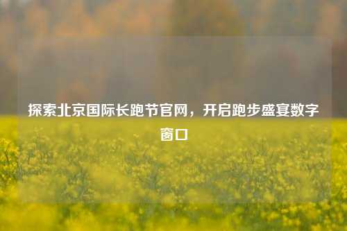 探索北京国际长跑节官网,开启跑步盛宴数字窗口