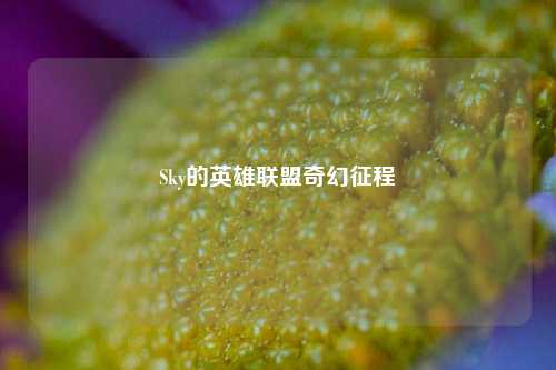 Sky的英雄联盟奇幻征程