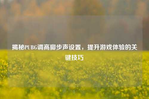 揭秘PUBG调高脚步声设置,提升游戏体验的关键技巧