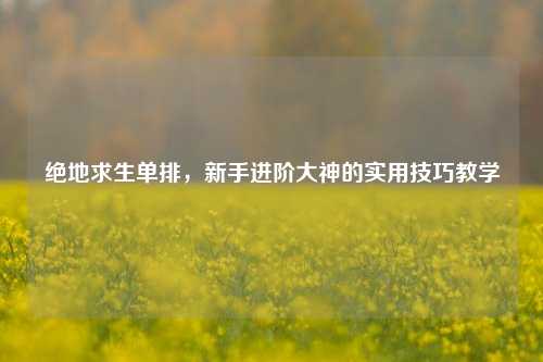绝地求生单排,新手进阶大神的实用技巧教学
