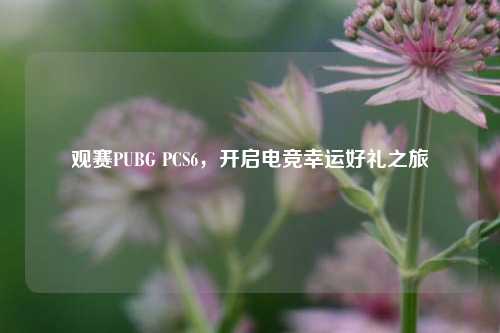 观赛PUBG PCS6,开启电竞幸运好礼之旅