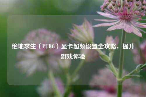 绝地求生(PUBG)显卡超频设置全攻略,提升游戏体验