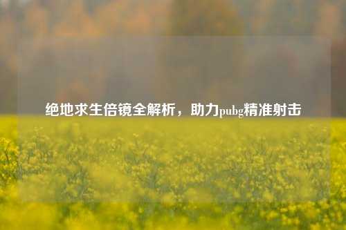 绝地求生倍镜全解析，助力pubg精准射击