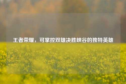 王者荣耀,可掌控双雄决胜峡谷的独特英雄