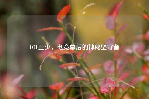 LOL三少,电竞幕后的神秘坚守者