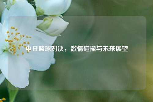 中日篮球对决,激情碰撞与未来展望